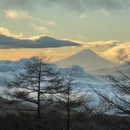 minasan (ミナサン) free OnlyFans Leaks 

 profile picture