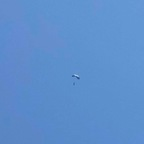 miranda_lynn OnlyFans Leaked Photos and Videos 

 profile picture