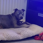 Onlyfans leaked misscc 

 profile picture