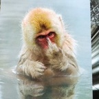 modify (x) free OnlyFans Leaked Pictures & Videos 

 profile picture