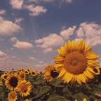 Download muayly OnlyFans videos and photos for free 

 profile picture