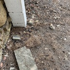 natacha33 (Natacha) OnlyFans Leaked Pictures and Videos 

 profile picture