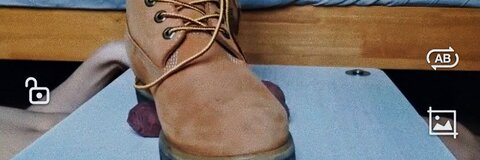 Header of nortonball