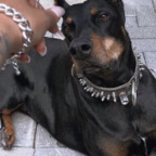 olmille (Oline) OnlyFans Leaked Content 

 profile picture