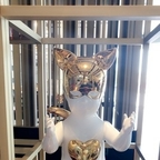 proud OnlyFans Leak 

 profile picture