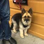 queenkairi (QueenKylie) free OnlyFans Leaks 

 profile picture