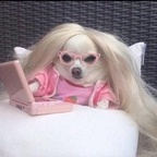 Onlyfans leak rachxl 

 profile picture