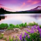 rondi OnlyFans Leaked 

 profile picture