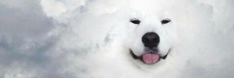 Header of satturnpower