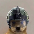 shanked OnlyFans Leak 

 profile picture