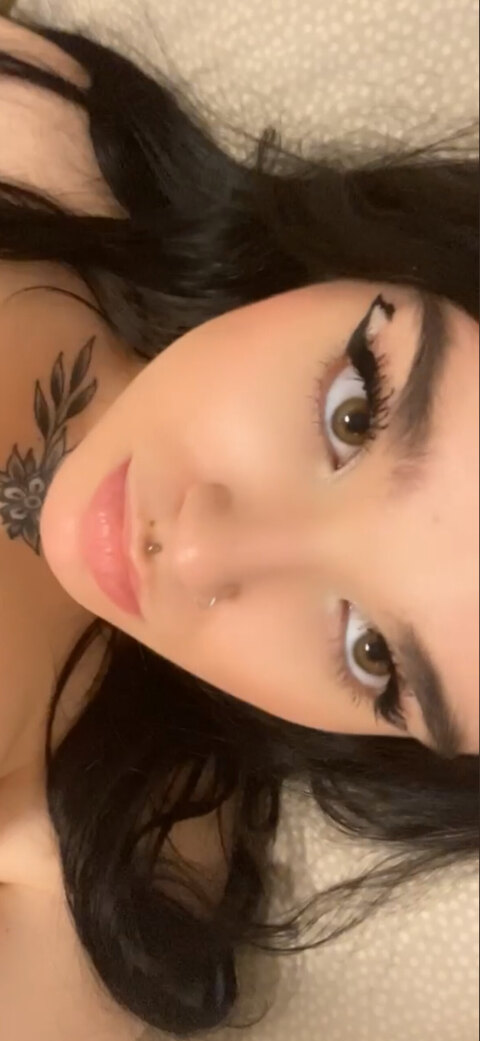 Header of skylaoficial