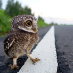 solqueen OnlyFans Leaked 

 profile picture