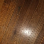 sonialove (u7767834) OnlyFans content 

 profile picture