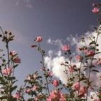 soooof OnlyFans Leaked 

 profile picture