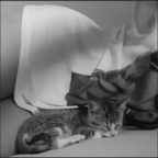 Sam sssssam Leak OnlyFans 

 profile picture