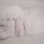 starry (bunni) free OnlyFans Leaked Videos and Pictures 

 profile picture