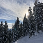 steeph (Steph) OnlyFans content 

 profile picture