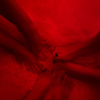 swedishgirl69 OnlyFans Leaked 

 profile picture