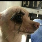 Onlyfans leaked th0tsandprayers 

 profile picture