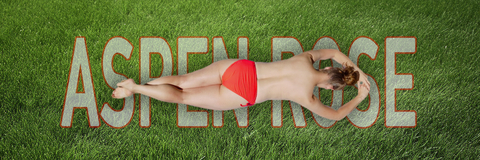 Header of theaspenrose1