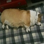 tisua (tsn) OnlyFans Leaked Pictures and Videos 

 profile picture