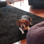 Leaked trusty_rusty onlyfans leaked