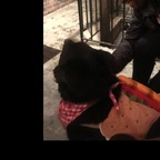 Onlyfans leaked u1230461 

 profile picture