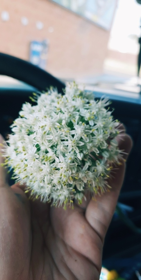 Header of u169749752