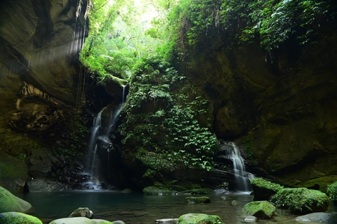 Header of u317534060