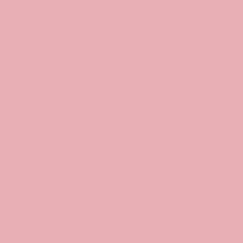 Header of urfaveblossom