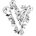 vanessa2 OnlyFans Leaked Photos and Videos 

 profile picture