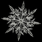 Leaked xnowdog onlyfans leaked