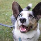 ziggystardust (Ziggy Stardust Motivational Borker) free OnlyFans Leaked Pictures & Videos 

 profile picture